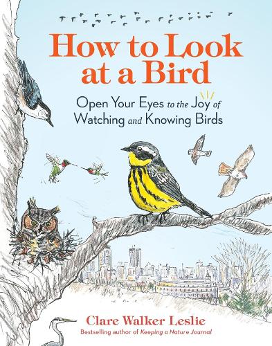 [object Object] «How to Look at a Bird: Open Your Eyes to the Joy of Watching and Knowing Birds», автор Клэр Уокер Лесли - фото №1