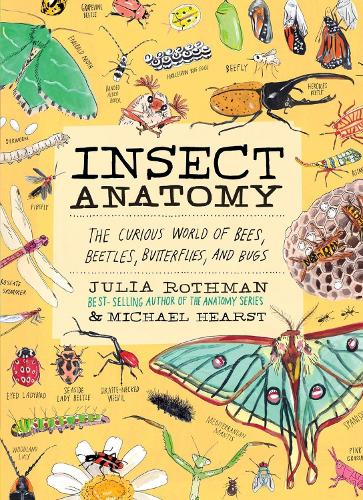 Бумажная книга «Insect Anatomy: The Curious World of Bees, Beetles, Butterflies, and Bugs», автор Джулия Ротман - фото №1