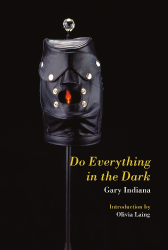 Паперова книга «Do Everything in the Dark», автор Гарі Індіана - фото №1