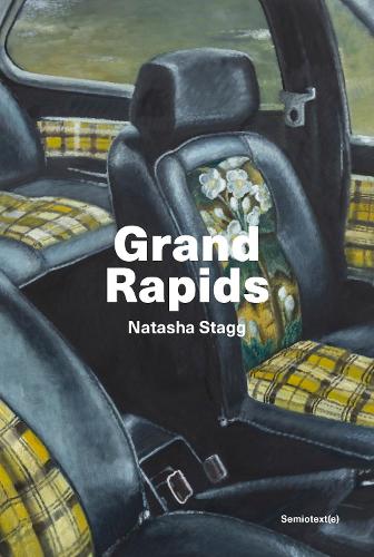 Паперова книга «Grand Rapids», автор Наташа Стегг - фото №1