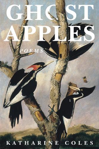 Бумажная книга «Ghost Apples», автор Кэтрин Коулз - фото №1