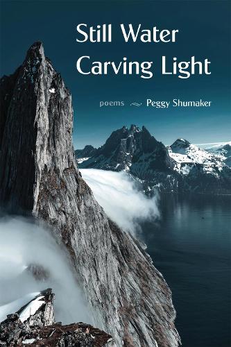 Бумажная книга «Still Water Carving Light: Poems», автор Пегги Шумейкер - фото №1