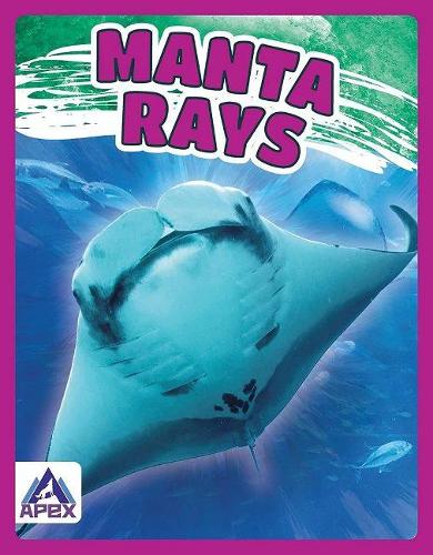 Паперова книга «Manta Rays», автор Анжела Лім - фото №1