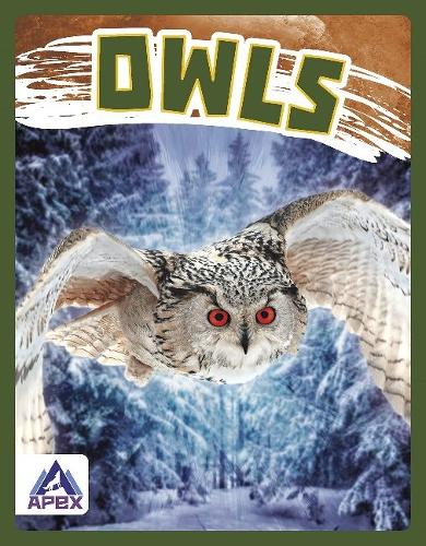 Паперова книга «Birds of Prey: Owls», автор Голріз Голькар - фото №1