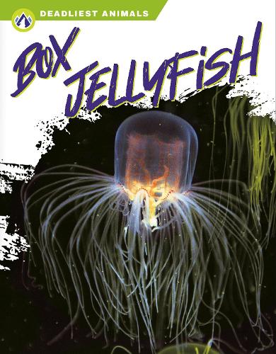 Бумажная книга «Box Jellyfish», автор Коннор Стрэттон - фото №1