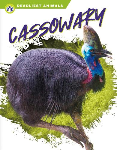 Бумажная книга «Cassowary», автор Коннор Стрэттон - фото №1