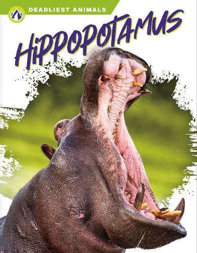 Паперова книга «Deadliest Animals: Hippopotamus», автор Голріз Голькар - фото №1
