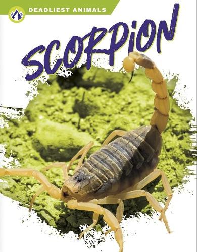 Бумажная книга «Scorpion», автор Рэйчел Хэмби - фото №1