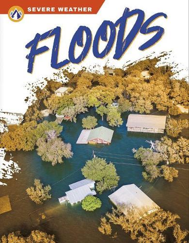 Бумажная книга «Floods», автор Шэрон Далглиш - фото №1