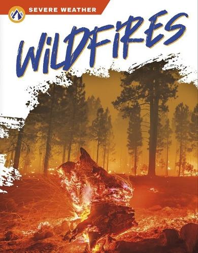 Паперова книга «Severe Weather: Wildfires», автор Кендіс Ренсом - фото №1