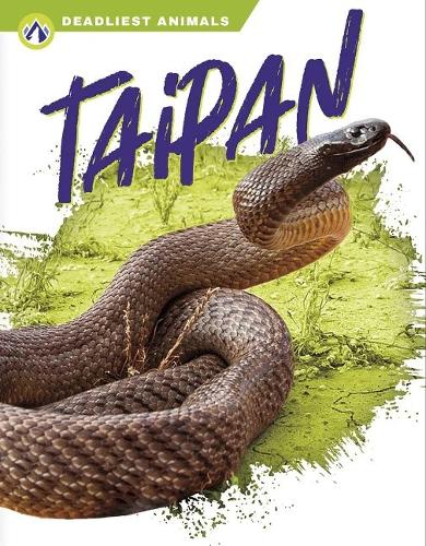 Паперова книга «Taipan», автор Рейчел Хембі - фото №1
