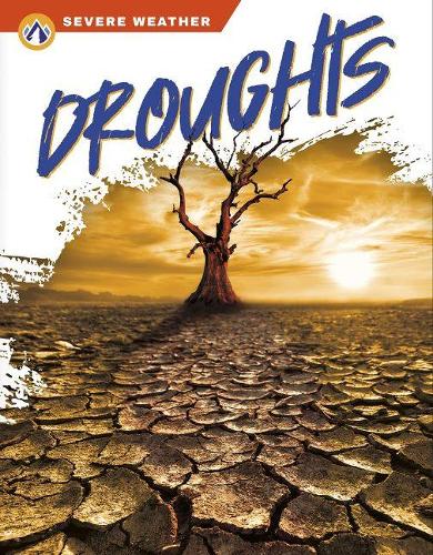 Паперова книга «Droughts», автор Меган Генделл - фото №1