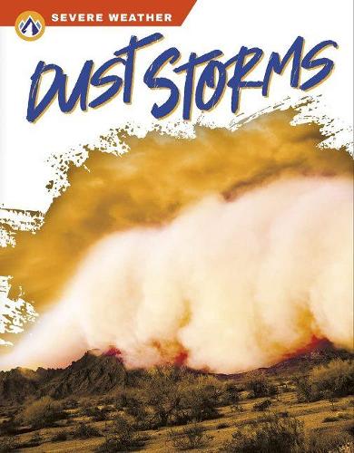 Паперова книга «Dust Storms», автор Меган Генделл - фото №1