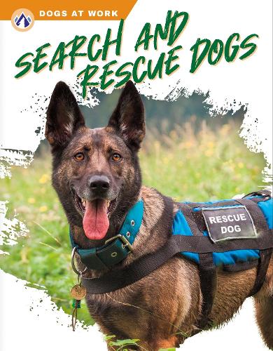 Бумажная книга «Search and Rescue Dogs», автор Мэтт Лилли - фото №1
