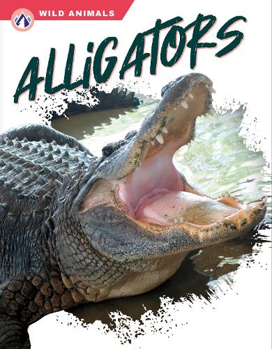 Бумажная книга «Alligators», автор Шеннон Джейд - фото №1