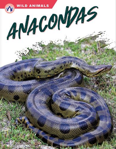 Паперова книга «Anacondas», автор Джеймс Боу - фото №1