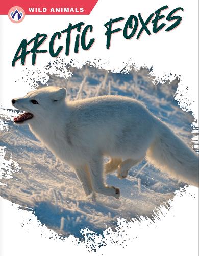 Паперова книга «Arctic Foxes», автор Меган Генделл - фото №1