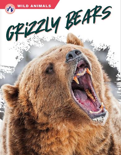 Бумажная книга «Grizzly Bears», автор Рэйчел Хэмби - фото №1