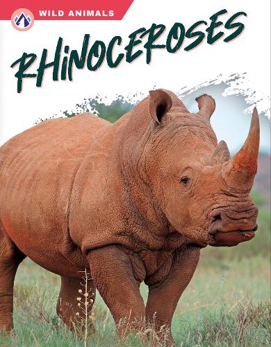 Бумажная книга «Rhinoceroses», автор Рэйчел Хэмби - фото №1