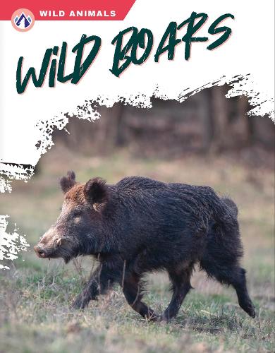 Паперова книга «Wild Boars», автор Ліббі Вілсон - фото №1