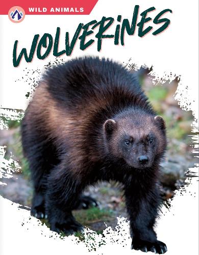 Паперова книга «Wolverines», автор Меган Генделл - фото №1