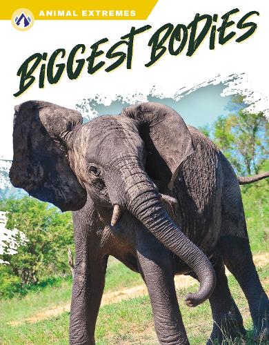Бумажная книга «Biggest Bodies», автор Марисса Киркман - фото №1