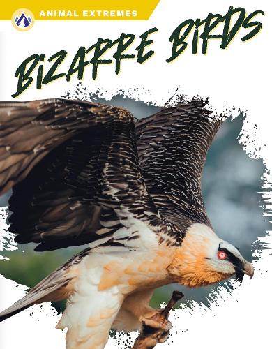 Бумажная книга «Bizarre Birds», автор Либби Уилсон - фото №1