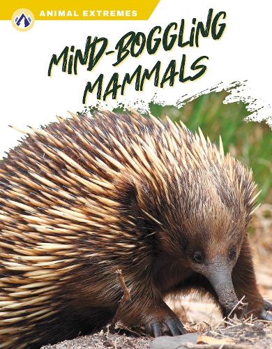 Бумажная книга «Mind-Boggling Mammals», автор Либби Уилсон - фото №1