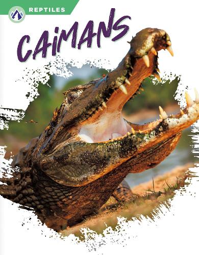 Бумажная книга «Caimans», автор Джеймс Боу - фото №1