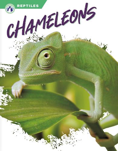 Бумажная книга «Chameleons», автор Меган Генделл - фото №1