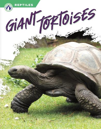 Бумажная книга «Giant Tortoises», автор Меган Генделл - фото №1