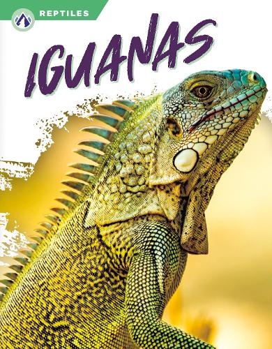 Бумажная книга «Iguanas», автор Шеннон Джейд - фото №1