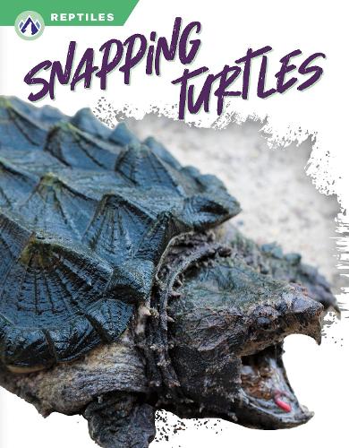Бумажная книга «Snapping Turtles», автор Шеннон Джейд - фото №1