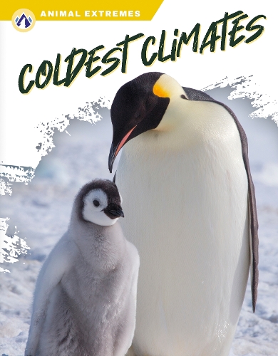 Бумажная книга «Coldest Climates», автор Марисса Киркман - фото №1