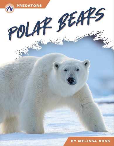 Бумажная книга «Polar Bears», автор Мелисса Росс - фото №1