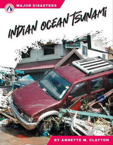 Бумажная книга «Indian Ocean Tsunami», автор Аннет М. Клейтон - фото №1