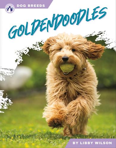 Бумажная книга «Goldendoodles», автор Либби Уилсон - фото №1