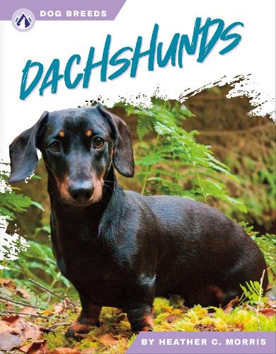 Бумажная книга «Dog Breeds: Dachshunds», автор Хизер К. Моррис - фото №1