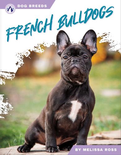 Бумажная книга «French Bulldogs», автор Мелисса Росс - фото №1