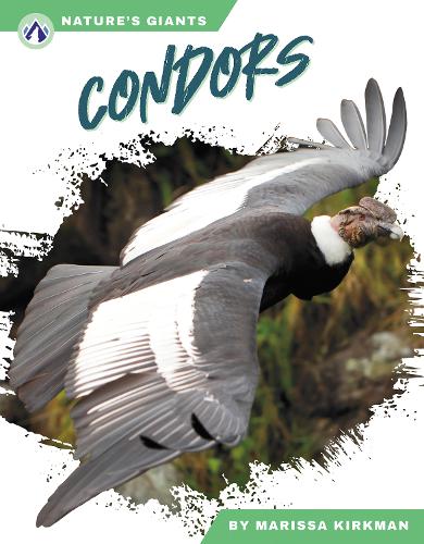 Бумажная книга «Condors», автор Марисса Киркман - фото №1