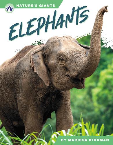 Бумажная книга «Elephants», автор Марисса Киркман - фото №1