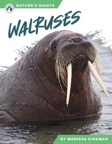 Бумажная книга «Walruses», автор Марисса Киркман - фото №1
