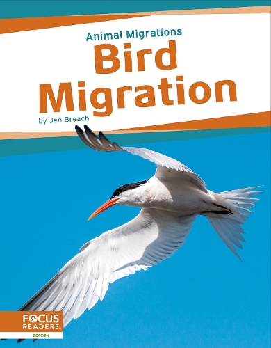 Бумажная книга «Bird Migration», автор Джен Брич - фото №1