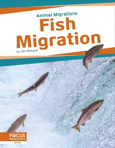 Бумажная книга «Fish Migration», автор Джен Брич - фото №1