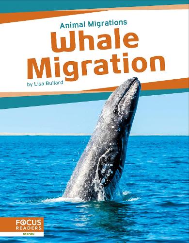 Бумажная книга «Whale Migration», автор Лиза Буллард - фото №1