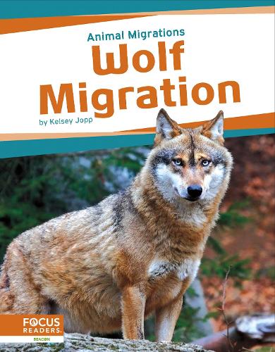Бумажная книга «Wolf Migration», автор Келси Джопп - фото №1