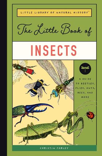 Бумажная книга «The Little Book of Insects: A Guide to Beetles, Flies, Ants, Bees, and More», автор Кристин Фарли - фото №1
