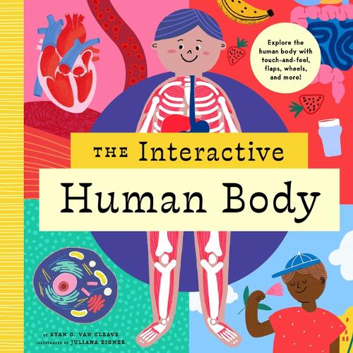 Бумажная книга «The Interactive Human Body: Explore the human body with flaps, wheels, levers, touch and feel, and more», автор Питер Хинкли - фото №1