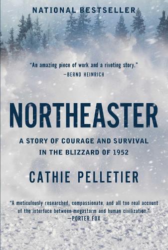 Бумажная книга «Northeaster: A Story of Courage and Survival in the Blizzard of 1952», автор Кэти Пеллетье - фото №1