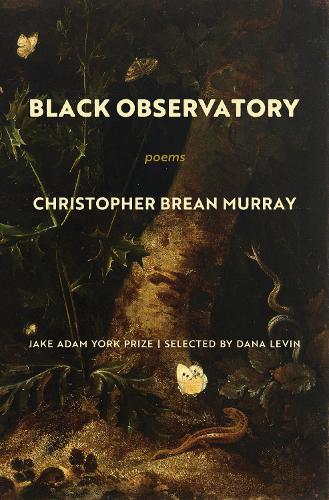 Паперова книга «Black Observatory: Poems», автор Крістофер Брін Мюррей - фото №1